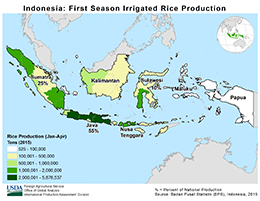 images\ID\seasonalmap\Indonesia_FirstSeason_Irrigated_Rice_preview.png